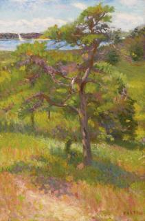 William Mcgregor Paxton - Tree By An Inlet, Cape Cod