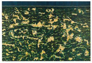 William Monk - Jungle