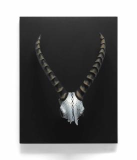 William Morris - \'Antelope Trophy\', 2000