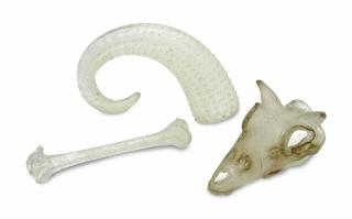 William Morris - Artifact Still Life: Three Works