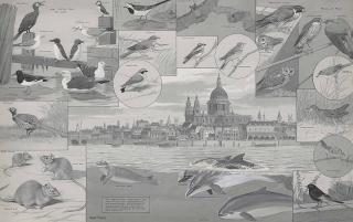 William Neave Parker - The Natural History Of The City Of London; And British Animals In Winter