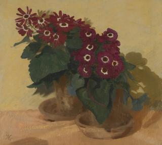 William Nicholson - Red Cinerarias