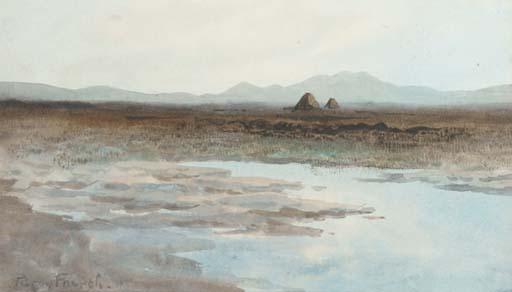 William Percy French - A Donegal Bog