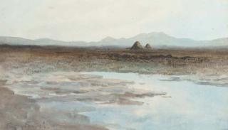 William Percy French - A Donegal Bog