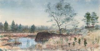 William Percy French - Morning light over the rushes