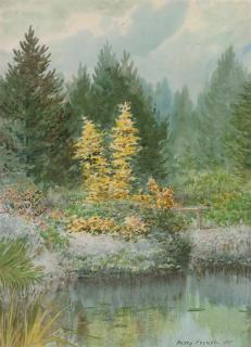 William Percy French - Reflections I