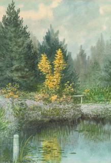 William Percy French - Reflections II