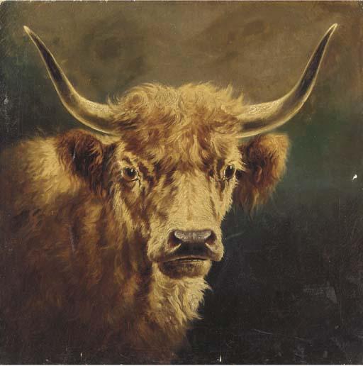 William Perring Hollyer - The head of a Highland cow