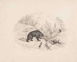 William Pope - Ten rural and sporting scenes of Canadian life to include: