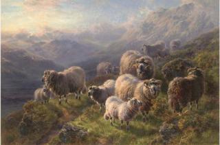 William R. C. Watson - Evening, Loch Eilt, Inverness-Shire