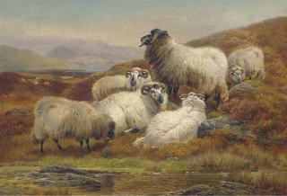William R. C. Watson - Herding The Flock, Morning