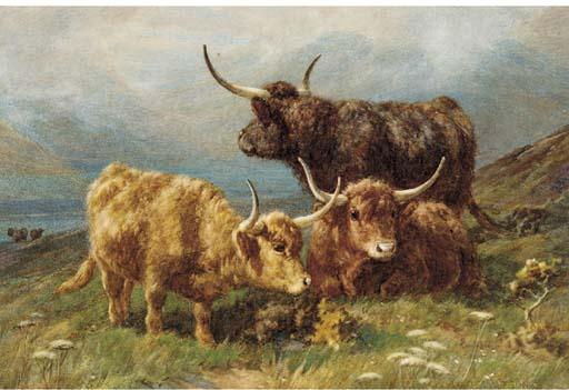 William R.C. Watson - Highland cattle in a mountainous landscape; and Highland cattle with a calf