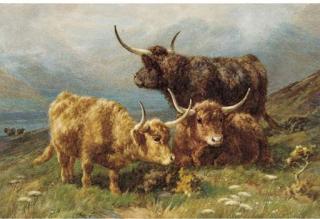 William R.C. Watson - Highland cattle in a mountainous landscape; and Highland cattle with a calf
