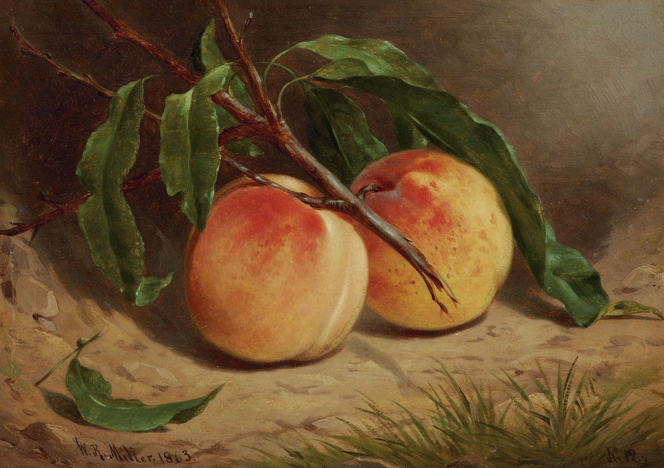 William Rickarby Miller - Study of Peaches from Nature
