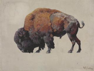 William Robinson Leigh - Bison Bull