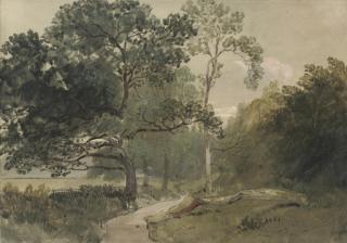 William Roxby Beverley, R.I. - A tree-lined lane