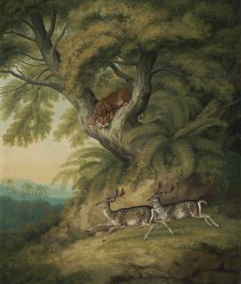 William Samuel Howitt - A Leopard with two passing deer