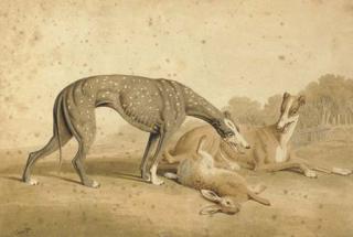 William Samuel Howitt - Coursing