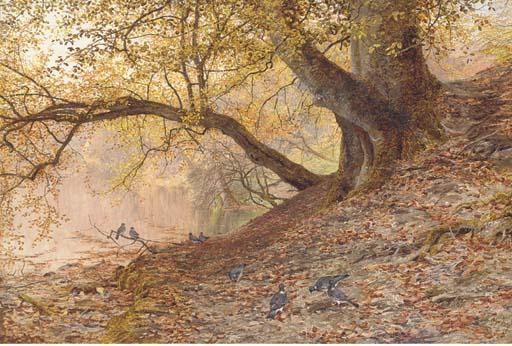 William Samuel Jay - Golden Glow