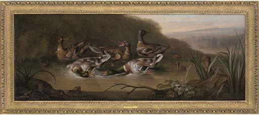 William Sartorius - Mallard drakes fighting, with ducks and ducklings in a stream