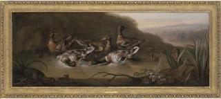 William Sartorius - Mallard drakes fighting, with ducks and ducklings in a stream