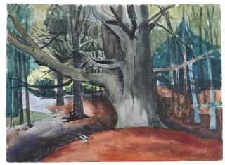 William Scott, R.A. - Untitled (Wooded Landscape)