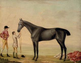 William Shaw - Chrysis, a grey racehorse, held by a groom, with a jockey, in a landscape