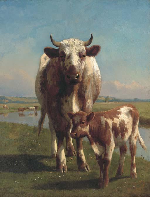 William Sidney Cooper - A shorthorn cow and calf