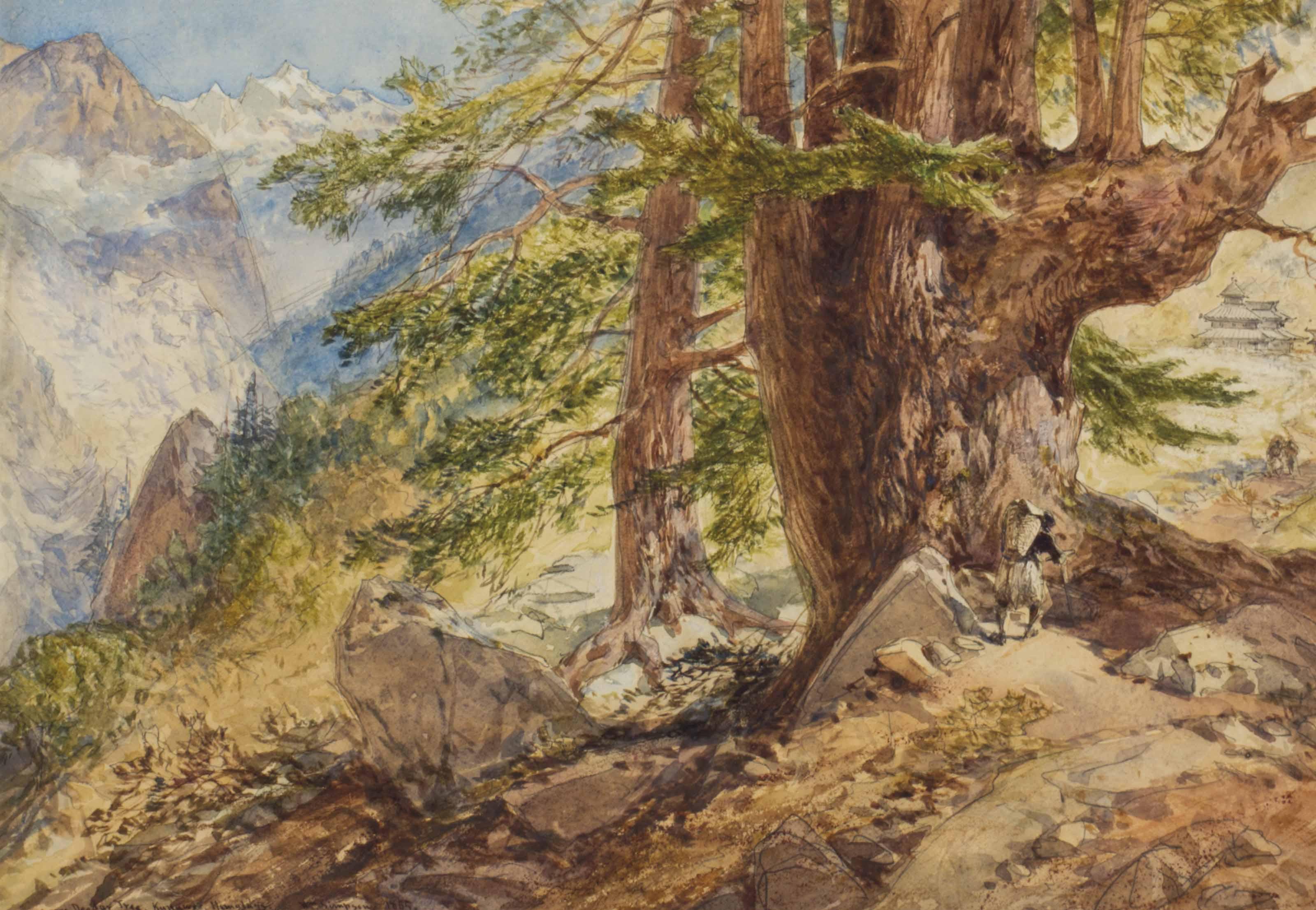 William Simpson - A Large Deodar Tree in the Himalayas