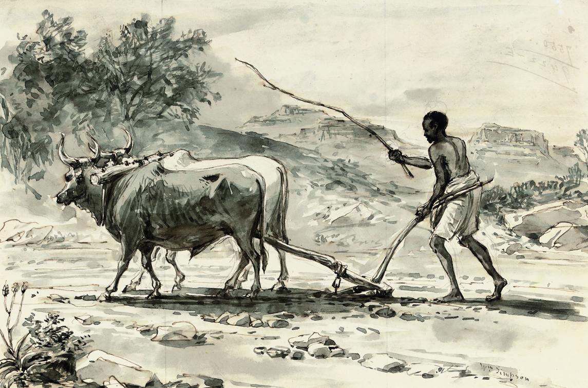 William Simpson - Trial of two prisoners for looting Commissariat Stores; and Abyssinian Plough