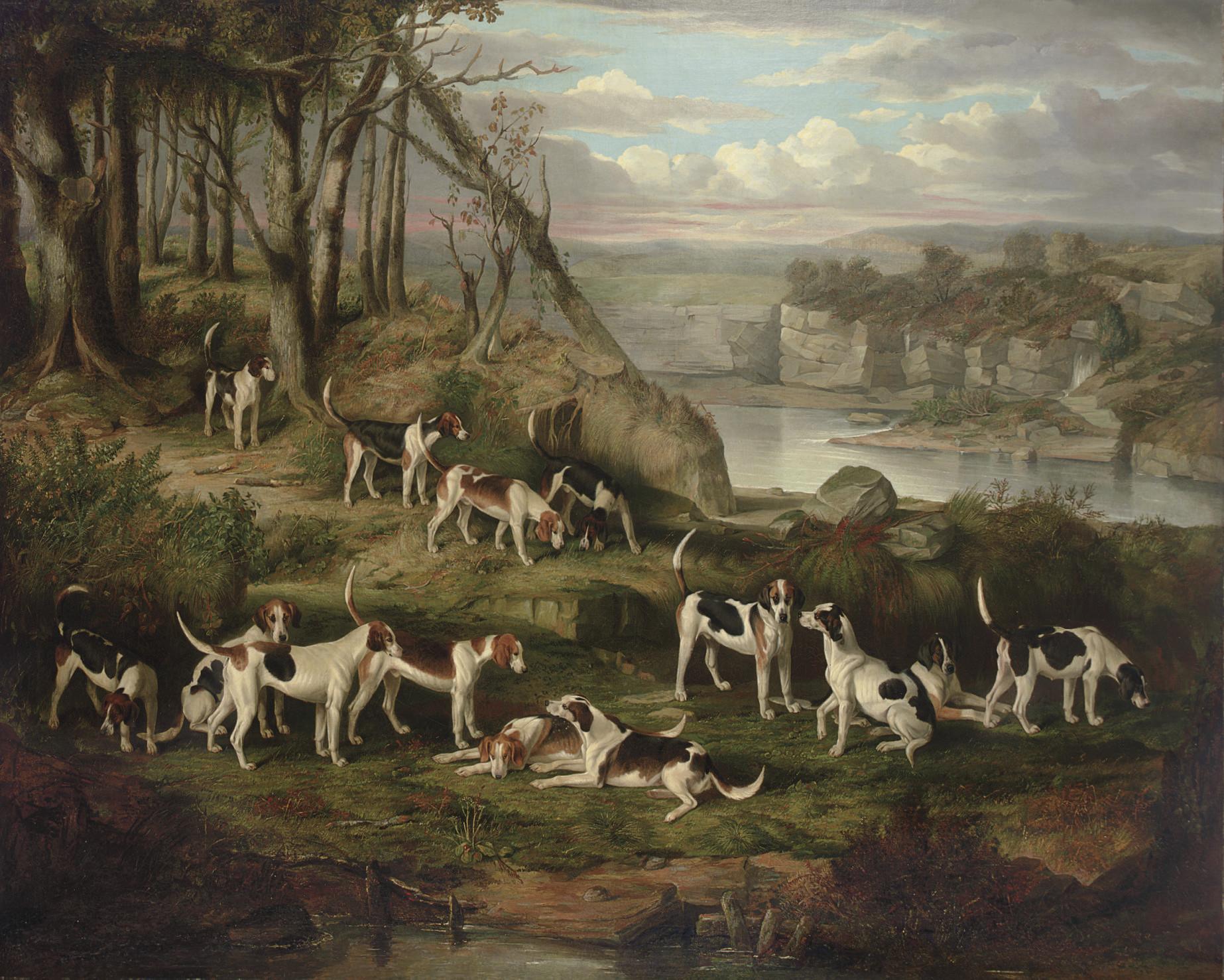 William Smith - A pack of foxhounds on a bank above a rocky gorge