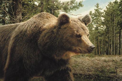 William Sternberg De Beer - Breaking Cover, Grizzly Bear