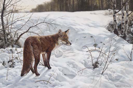 William Sternberg De Beer - Bright morning - red fox in the snow
