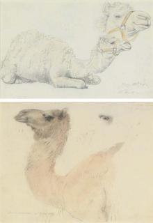 William Strutt - Two studies of camels