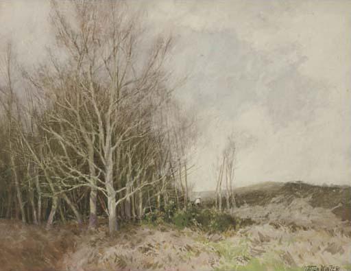 William Tatton Winter, R.B.A. - The Sunlit Copse
