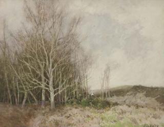 William Tatton Winter, R.B.A. - The Sunlit Copse