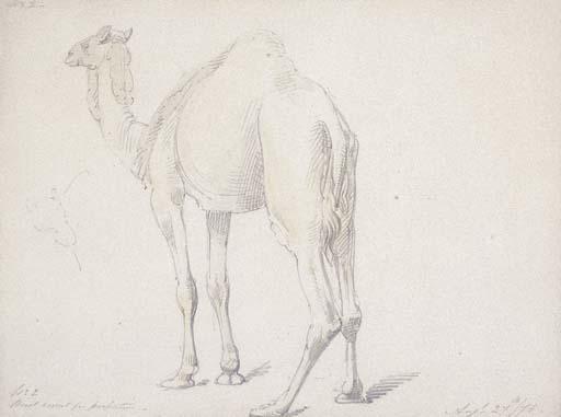 William Thomas Strutt - Camel Study