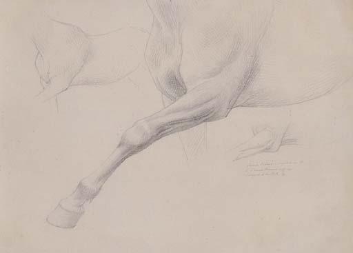 William Thomas Strutt - Horse