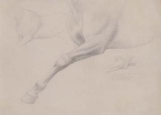 William Thomas Strutt - Horse