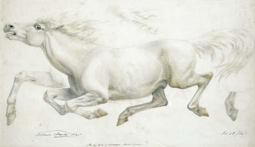William Thomas Strutt - Study From A Celebrated Arab Mare