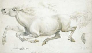 William Thomas Strutt - Study From A Celebrated Arab Mare