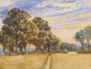 William Turner of Oxford, O.W.S. - A Cornfield At Sunrise