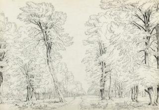 William Turner Of Oxford, O.W.S. - The Road Home Through The Trees