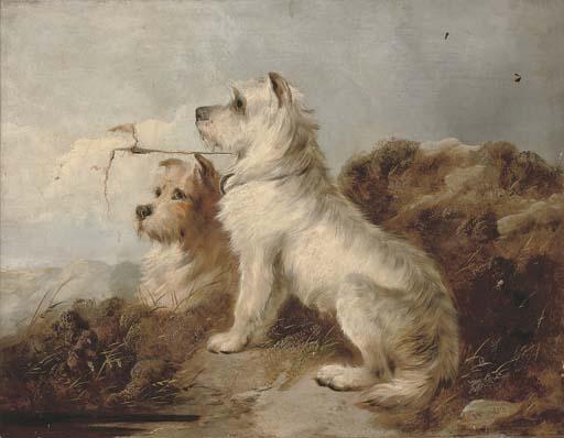 William Walker Morris - Scotties on a summit