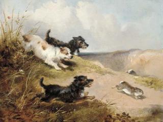 William Walker Morris - Terriers rabbiting