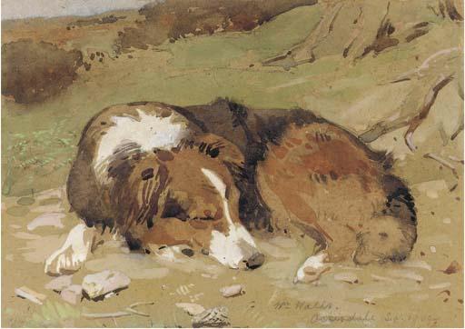 William Walls, R.S.A., R.S.W. - A Sleeping Collie
