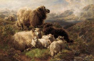 William Watson - Sheep on the mountains, Loch Tay