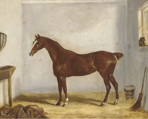 William Webb - A chestnut hunter in a stable