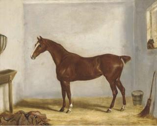 William Webb - A chestnut hunter in a stable