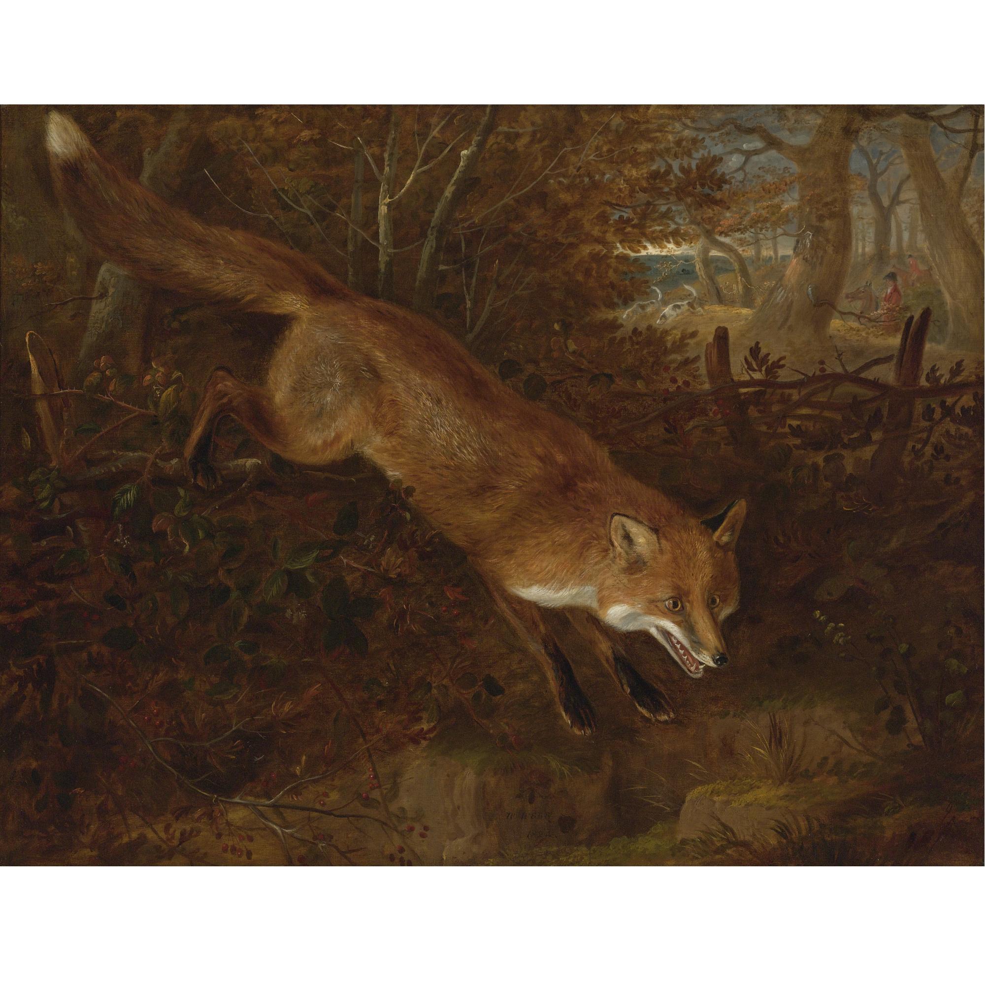 William Webb - British A Fox Breaking Cover